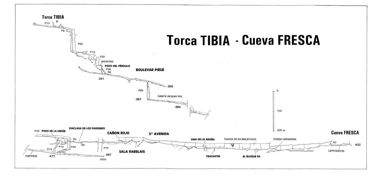 Tibia_Fresca